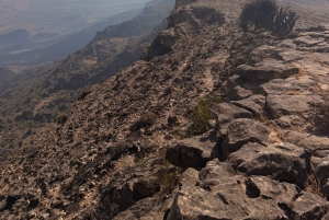 Salalah Oriental: safari privado en 4x4 y atardecer