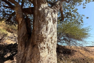 Salalah Oriental: safari privado en 4x4 y atardecer