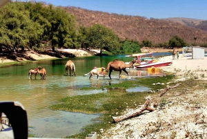 East Salalah Tour by Visit Our Salalah