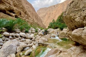 Oplev Oman: 8-dages privat tur fra Muscat