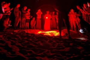 Oplev Oman: 8-dages privat tur fra Muscat