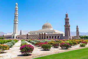 Esplora Muscat con un tour di mezza giornata della città.