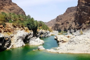 Circuit à la découverte de Nizwa, Bahla et Al Arbeen : Un voyage culturel