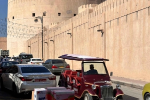 Muscat : Explore Nizwa Fort and Souq