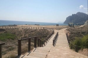Explorez l'ouest de Salalah et les plages de Fazayah, les Caraïbes de l'Orient