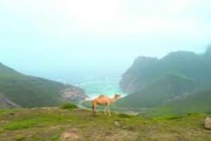 Explorez l'ouest de Salalah et les plages de Fazayah, les Caraïbes de l'Orient