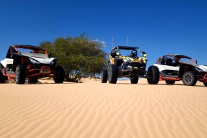 Wahiba Sands Dune Buggy Self-Drive: 1 timmes äventyr i öknen