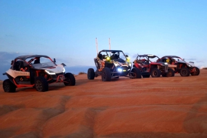 Wahiba Sands Dune Buggy Self-Drive: 1 timmes äventyr i öknen