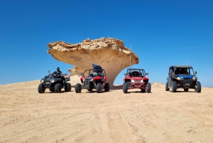 Wahiba Sands Dune Buggy Self-Drive: 1 timmes äventyr i öknen