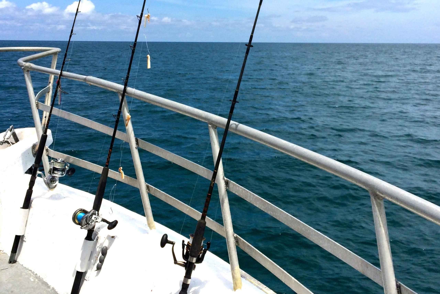 Fisketur 4 timer Tur