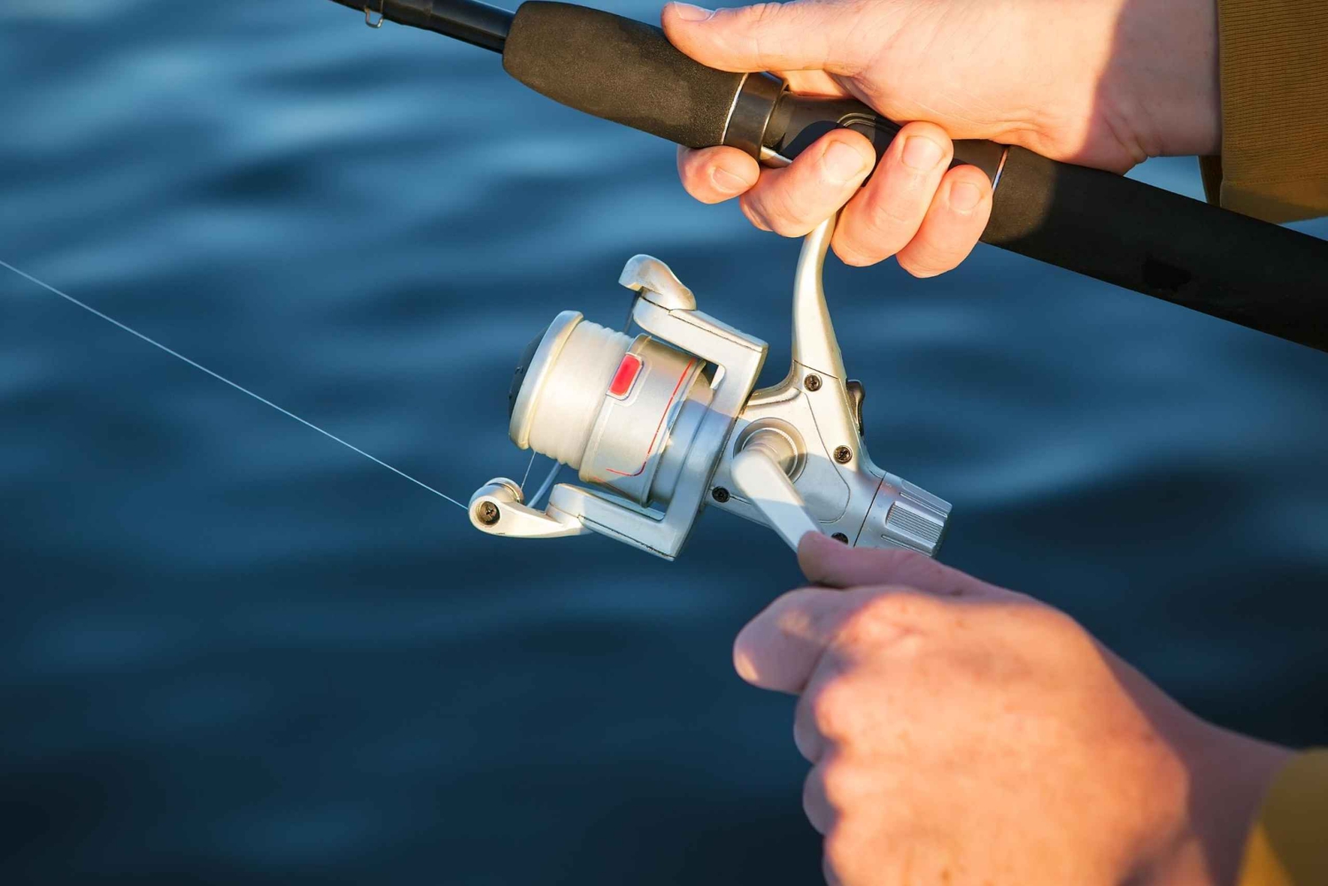 Fisketur 4 timer Tur