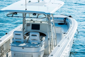 Fisketur 4 timer Tur