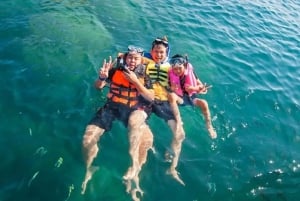 Desde Dubái-SHJ-Ajman-RAK: excursión de snorkel en Dibba Musandam