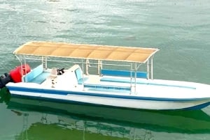 Desde Dubái-SHJ-Ajman-RAK: excursión de snorkel en Dibba Musandam