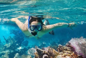From Dubai-SHJ-Ajman-RAK: Snorkeling Trip in Dibba Musandam
