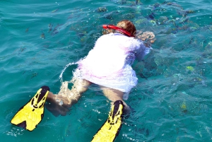 Au départ de Khasab : Visite d'une demi-journée de plongée en apnée avec observation des dauphins.