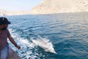 Au départ de Khasab : Visite d'une demi-journée de plongée en apnée avec observation des dauphins.
