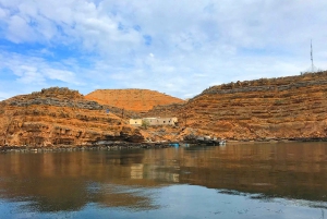 Au départ de Khasab : Visite d'une demi-journée de plongée en apnée avec observation des dauphins.