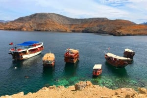 Au départ de Khasab : Visite d'une demi-journée de plongée en apnée avec observation des dauphins.