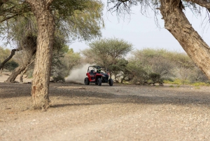 De Mascate, 1 hora: Aventura de quadriciclo sem motorista em Wadi Al Rak