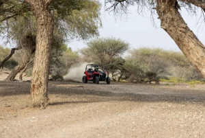 Von Muscat aus 1 Stunde: Selbstfahrendes ATV-Abenteuer im Wadi Al Rak