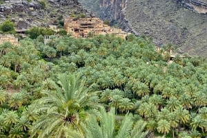 Desde Mascate: 2 días, 1 noche en Jabal Shams (Gran Cañón)