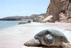 من مسقط: 2 - يومان وليلة واحدة في رأس الحد