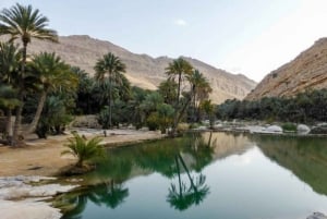 من مسقط: 2 - يومان وليلة واحدة في رأس الحد