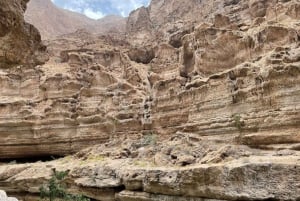 From Muscat: 2-Days, 1 Night in Wahiba Sands