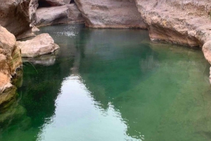 From Muscat: 2-Days, 1 Night in Wahiba Sands