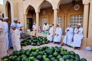 From Muscat: 3-Day Nizwa, Desert, Turtle, Wadi Shab