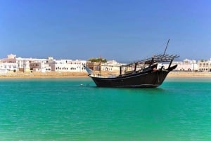 From Muscat: 3-Day Nizwa, Desert, Turtle, Wadi Shab