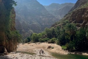 From Muscat: 3-Day Nizwa, Desert, Turtle, Wadi Shab