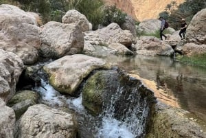 From Muscat: 3-Day Nizwa, Desert, Turtle, Wadi Shab