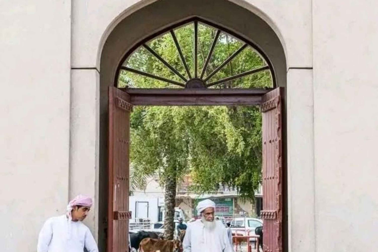 من مسقط: 3 أيام في نزوى والصحراء والسلحفاة ووادي شاب