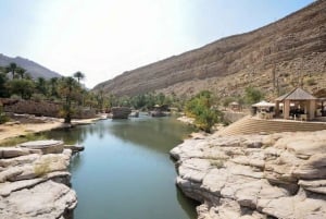 Desde Mascate: 3 días Nizwa, Desierto, Tortuga, Wadi Shab
