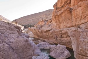 Desde Mascate: 3 días Nizwa, Desierto, Tortuga, Wadi Shab
