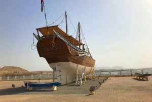 Desde Mascate: 3 días Nizwa, Desierto, Tortuga, Wadi Shab