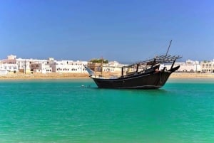 Desde Mascate: 3 días Nizwa, Desierto, Tortuga, Wadi Shab