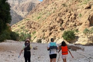 Desde Mascate: 3 días Nizwa, Desierto, Tortuga, Wadi Shab