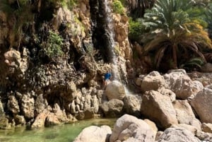 Desde Mascate: 3 días Nizwa, Desierto, Tortuga, Wadi Shab