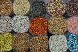 من مسقط: 3 أيام في نزوى والصحراء والسلحفاة ووادي شاب