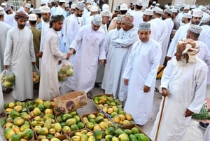 من مسقط: 3 أيام في نزوى والصحراء والسلحفاة ووادي شاب