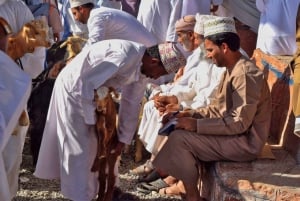 من مسقط: 3 أيام في نزوى والصحراء والسلحفاة ووادي شاب