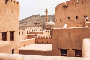 من مسقط: 3 أيام في نزوى والصحراء والسلحفاة ووادي شاب