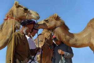 من مسقط: 3 أيام في نزوى والصحراء والسلحفاة ووادي شاب