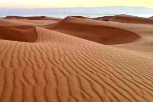 من مسقط: 3 أيام في نزوى والصحراء والسلحفاة ووادي شاب