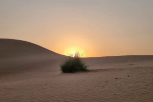 من مسقط: 3 أيام في نزوى والصحراء والسلحفاة ووادي شاب