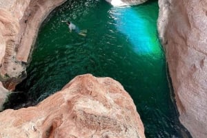 من مسقط: 3 أيام في نزوى والصحراء والسلحفاة ووادي شاب