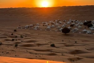 Fra Muscat: 5 dagers rundtur i byen, wadiene og ørkenen